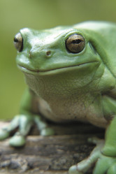 Similar image 8179566