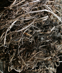 Similar image 8179579