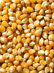 Similar image 8179616