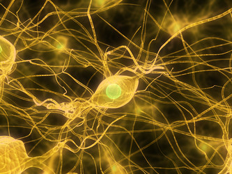 Similar image 8179632