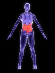 Similar image 8179642