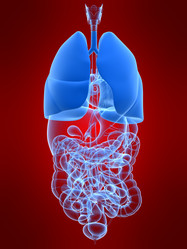 Similar image 8179658