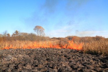 Similar image 8179660