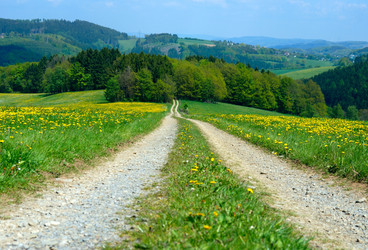 Similar image 8179685