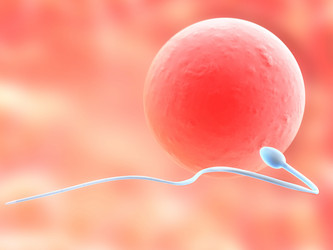 Similar image 8179687