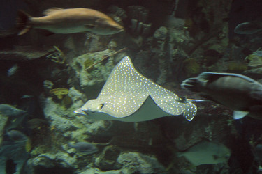 Similar image 8179756