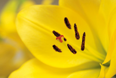 Similar image 8179777