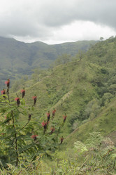 Similar image 8179797