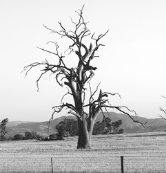 Similar image 8179808