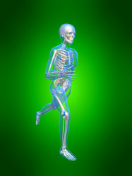 Similar image 8179856