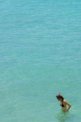 Similar image 8179901