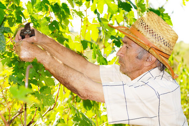 Similar image 8179903