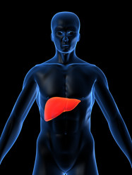 Similar image 8179915