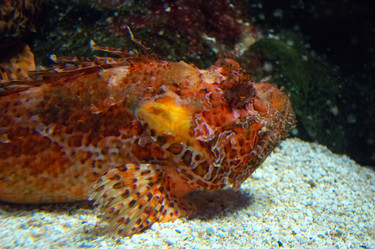 Similar image 8179935