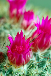 Similar image 8179986