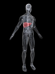 Similar image 8179994