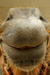 Similar image 8180057