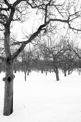 Similar image 8180063