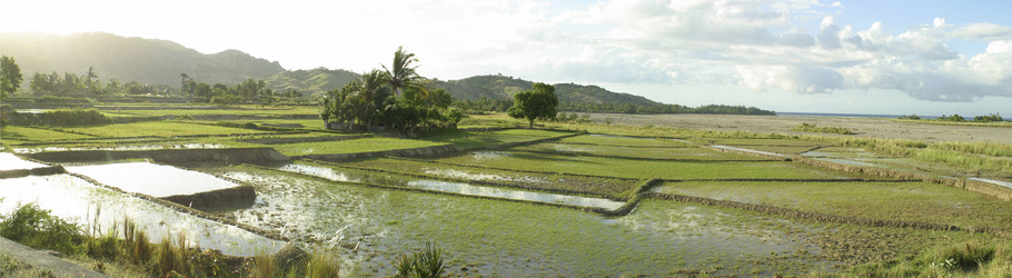 Similar image 8180108