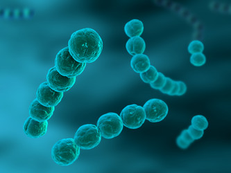 Similar image 8180142