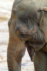 Similar image 8180178