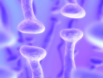 Similar image 8180184