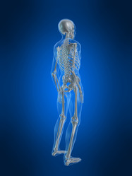 Similar image 8180284