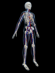 Similar image 8180285