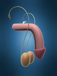 Similar image 8180377