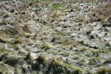 Similar image 8180419