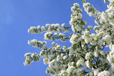 Similar image 8180432