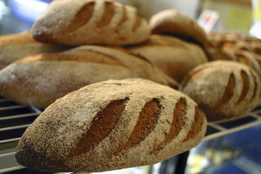 Similar image 8180457