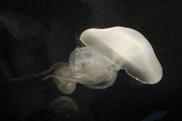 Similar image 8180480