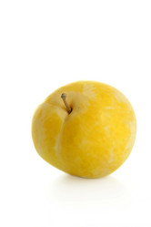 Similar image 8180535