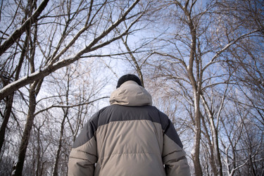 Similar image 8180636