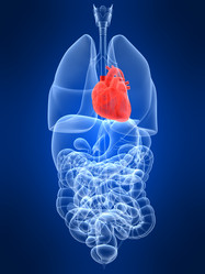 Similar image 8180682