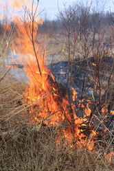 Similar image 8180700