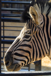 Similar image 8180704