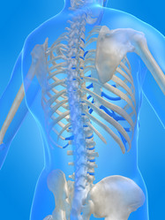 Similar image 8180758