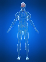 Similar image 8180831