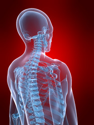 Similar image 8180844