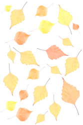 Similar image 8180930