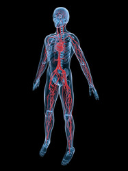 Similar image 8180942