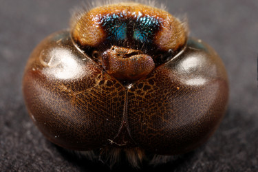 Similar image 8180966