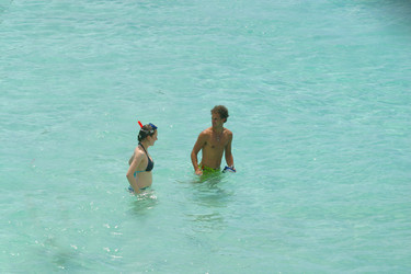 Similar image 8180985