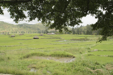 Similar image 8180997