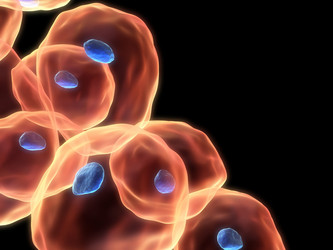 Similar image 8180998