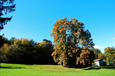 Similar image 8181016