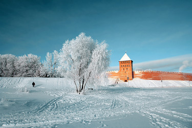 Similar image 8181022