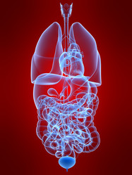 Similar image 8181039